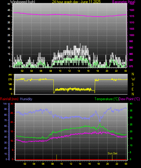 24 Hour Graph for Day 11